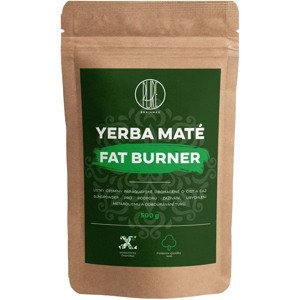 BrainMax Pure Yerba Maté, Fat Burner, 500 g