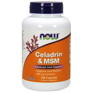 Now® Foods NOW Celadrin a MSM 500 mg, 120 kapslí