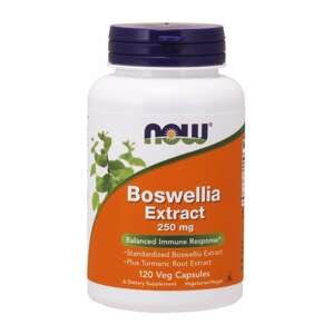 Now® Foods NOW Boswellia Extrakt + Extrakt z kurkumy, 250 mg, 120 vegetariánských kapslí