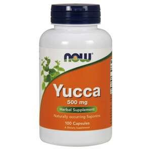 Now® Foods NOW Yucca, 500 mg, 100 kapslí