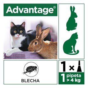 Advantage 80mg velké kočky a králíci spot-on 4x0.8ml