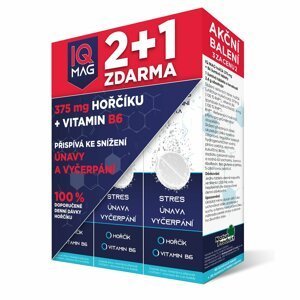 Iq Mag Hořčík + B6 šumivé Tablety 40+20 Zdarma
