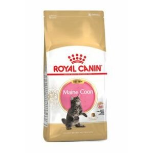 Royal Canin breed feline kitten maine coon 400g