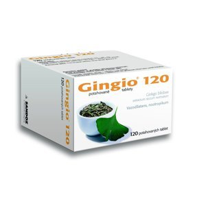 Gingio 120 mg 120 tablet