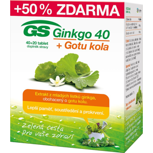 GS Ginkgo 40 + Gotu kola 40+20 tablet