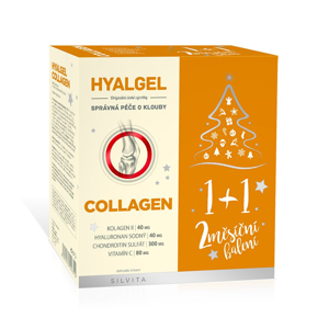 Hyalgel COLLAGEN 2x500 ml vánoční balení 2019