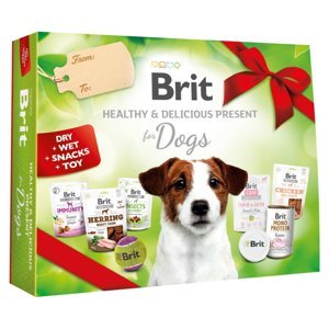 BRIT Healthy&Delicious present dárkový box pro psy 1 ks