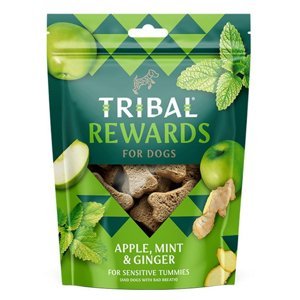 TRIBAL Rewards Apple, Mint & Ginger pamlsek pro psy 125 g