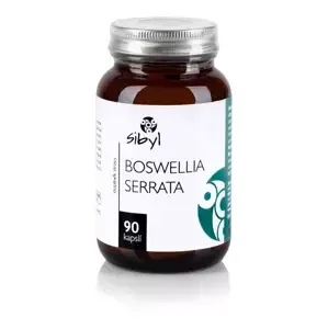 Sibyl Boswellia serrata 90 cps