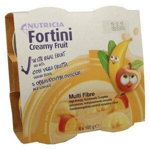 Fortini Creamy Fruit, roztok, letní ovoce, 4x100g