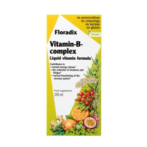 Salus Floradix Vitamin-B-komplex 250ml - II. jakost
