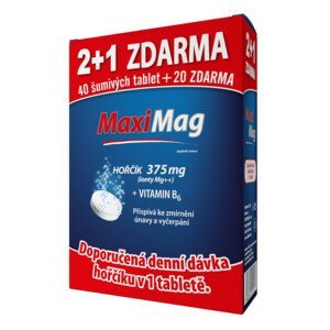MaxiMag Hořčík+B6 šumivé tbl.2+1 3x20 tbl. - II. jakost