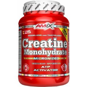 Amix Creatine monohydrate 1000 g