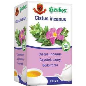 Herbex Cistus incanus sáčky 20 x 2 g