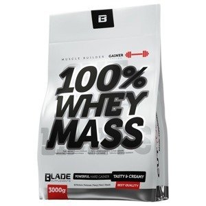 Hitec Nutrition 100% Whey mass gainer sušenka 3000 g