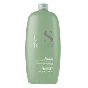 Alfaparf Milano Semi Di Lino posilňující šampón proti vypadávání vlasů 1000 ml