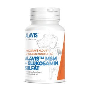 Alavis MSM+Glukosamin sulfát 60 tablet