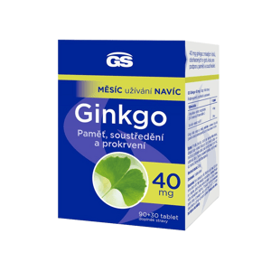 GS Ginkgo 40mg 90+30 tablet