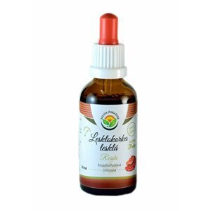 Salvia Paradise Lesklokorka lesklá - Reishi - tinktura bez alkoholu (50 ml)