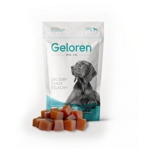 Geloren Dog L-XL kloubní výživa 60 tablet