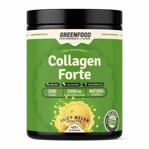 GreenFood Performance Collagen Forte Juicy meloun 420 g