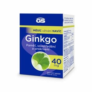 GS Ginkgo 40 mg 90+30 tablet