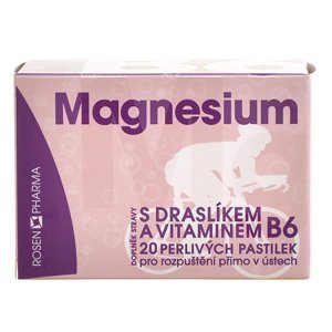 ROSEN PHARMA Magnesium 300 mg perlivé pastilky 20 tablet
