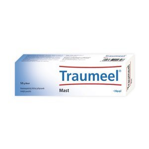 TRAUMEEL S 1x50 g Mast