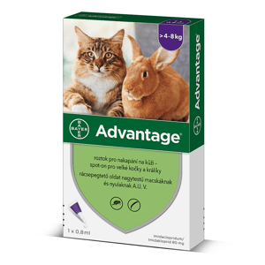 ADVANTAGE Spot-on 80 mg pro velké kočky a králíky 4 pipety