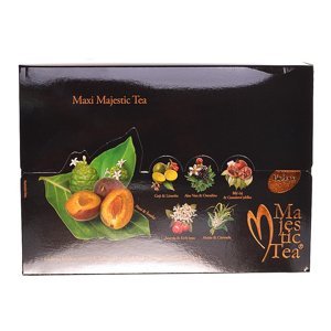 BIOGENA Maxi Majestic Tea 60 čajových sáčků