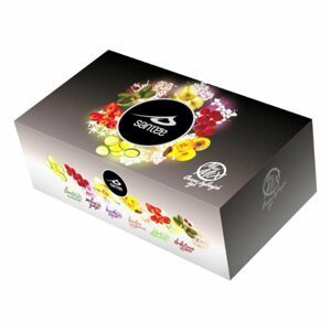 SANTÉE Mix Maxi ovocno-bylinný čaj 60 sáčků