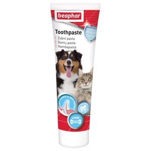 BEAPHAR Zubní pasta pro psy a kočky 100 g