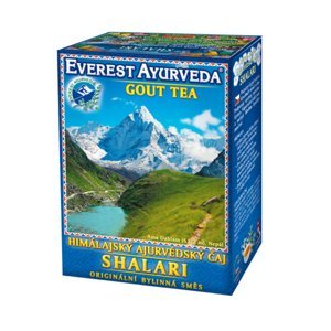 EVEREST AYURVEDA Shalari močový metabolismus a klouby 100 g sypaného čaje