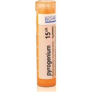 BOIRON Pyrogenium CH15 4 g