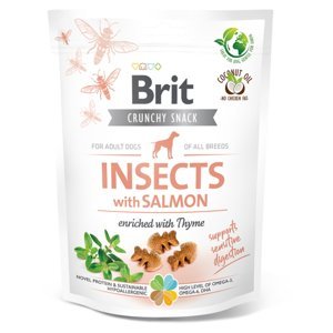 BRIT Care Dog Crunchy Crack. Insec. Salmon Thyme s hmyzem, lososem a tymiánem 200 g