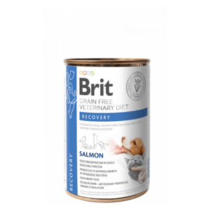 BRIT Veterinary diet grain free recovery pro psy a kočky 400 g
